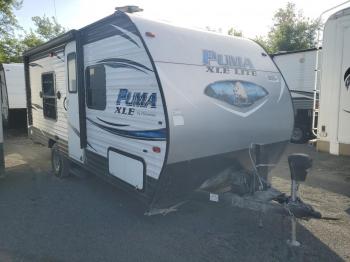  Salvage Puma Palomino M