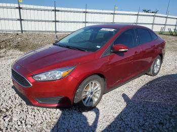  Salvage Ford Focus