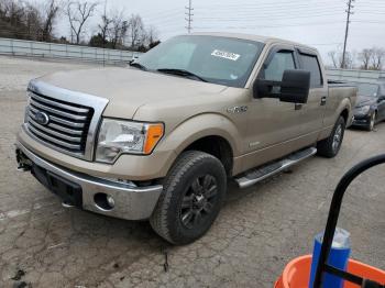  Salvage Ford F-150