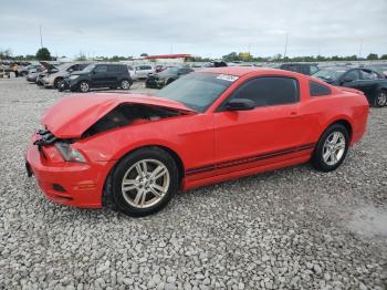  Salvage Ford Mustang