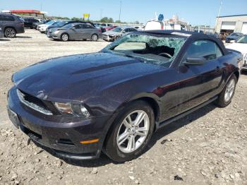  Salvage Ford Mustang