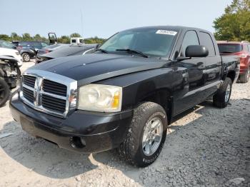  Salvage Dodge Dakota