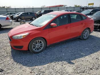  Salvage Ford Focus