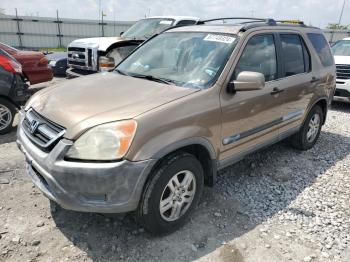  Salvage Honda Crv