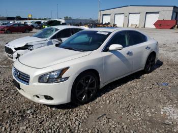  Salvage Nissan Maxima