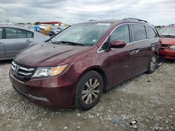  Salvage Honda Odyssey