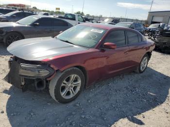  Salvage Dodge Charger