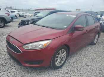  Salvage Ford Focus