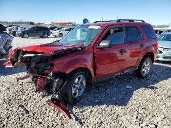  Salvage Ford Escape