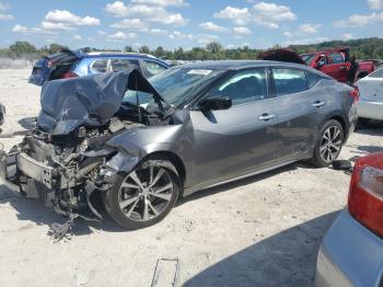  Salvage Nissan Maxima