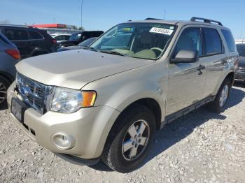  Salvage Ford Escape