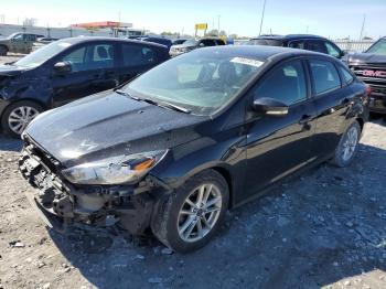  Salvage Ford Focus