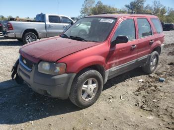  Salvage Ford Escape