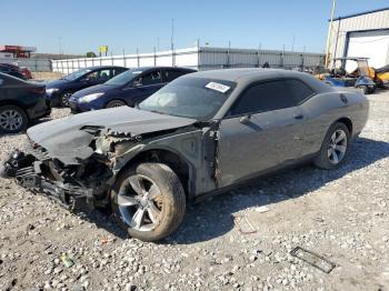  Salvage Dodge Challenger