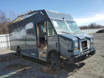  Salvage Ford F59