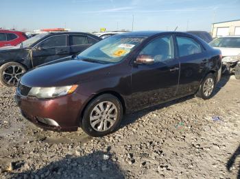  Salvage Kia Forte