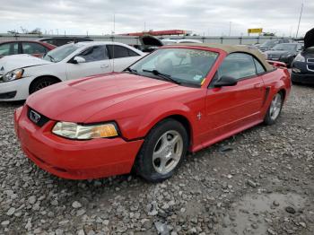  Salvage Ford Mustang