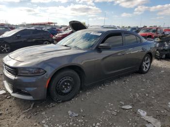  Salvage Dodge Charger