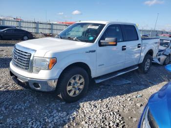  Salvage Ford F-150