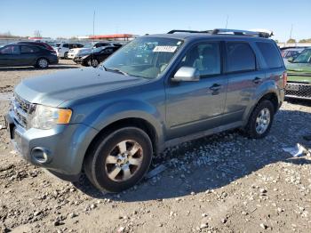  Salvage Ford Escape