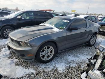  Salvage Ford Mustang