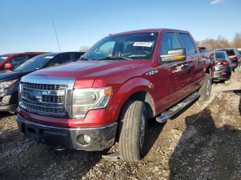  Salvage Ford F-150