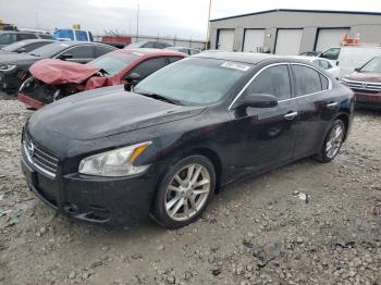  Salvage Nissan Maxima