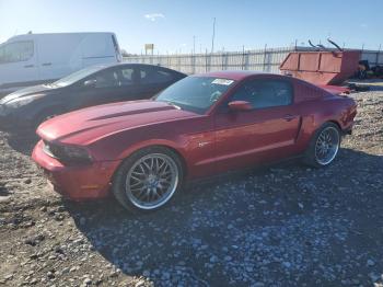  Salvage Ford Mustang