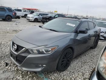  Salvage Nissan Maxima