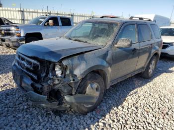  Salvage Ford Escape