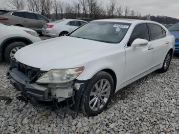  Salvage Lexus LS