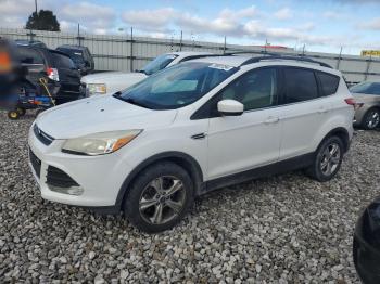  Salvage Ford Escape