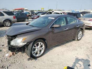  Salvage Nissan Maxima