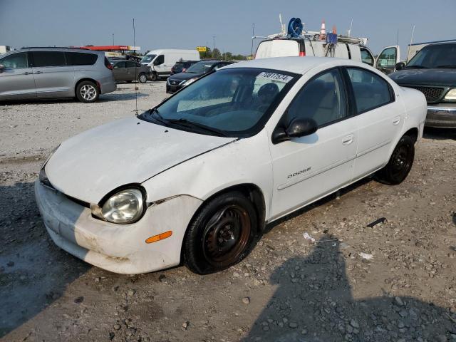  Salvage Dodge Neon