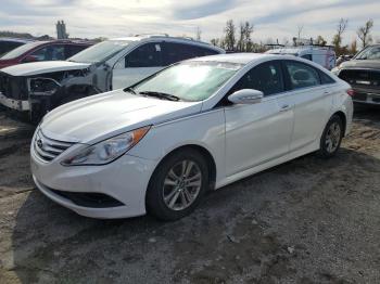  Salvage Hyundai SONATA