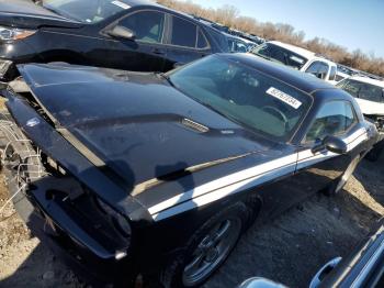  Salvage Dodge Challenger