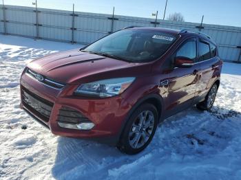  Salvage Ford Escape