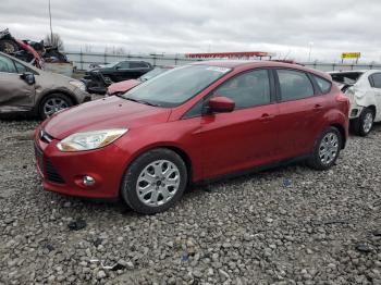  Salvage Ford Focus