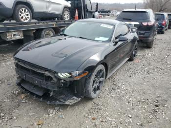  Salvage Ford Mustang