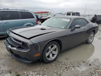  Salvage Dodge Challenger