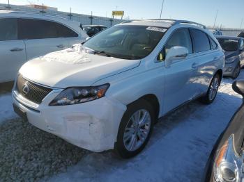  Salvage Lexus RX