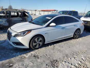  Salvage Hyundai SONATA