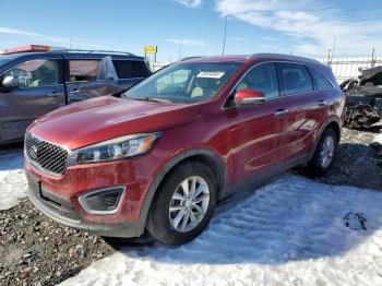  Salvage Kia Sorento