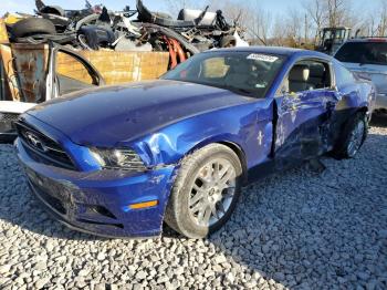  Salvage Ford Mustang