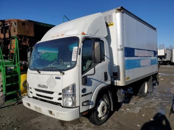  Salvage Isuzu Nqr