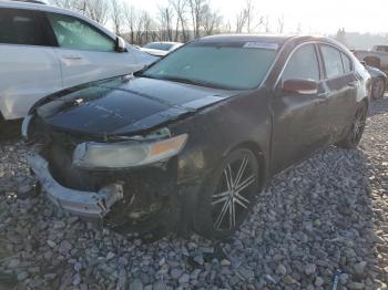  Salvage Acura TL