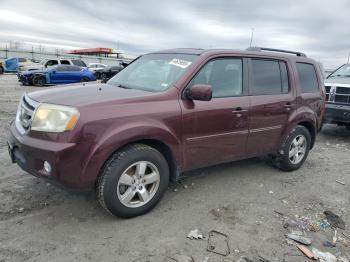  Salvage Honda Pilot