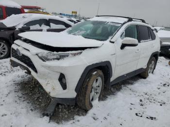  Salvage Toyota RAV4