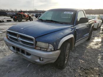  Salvage Dodge Dakota