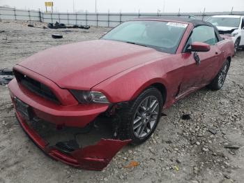  Salvage Ford Mustang